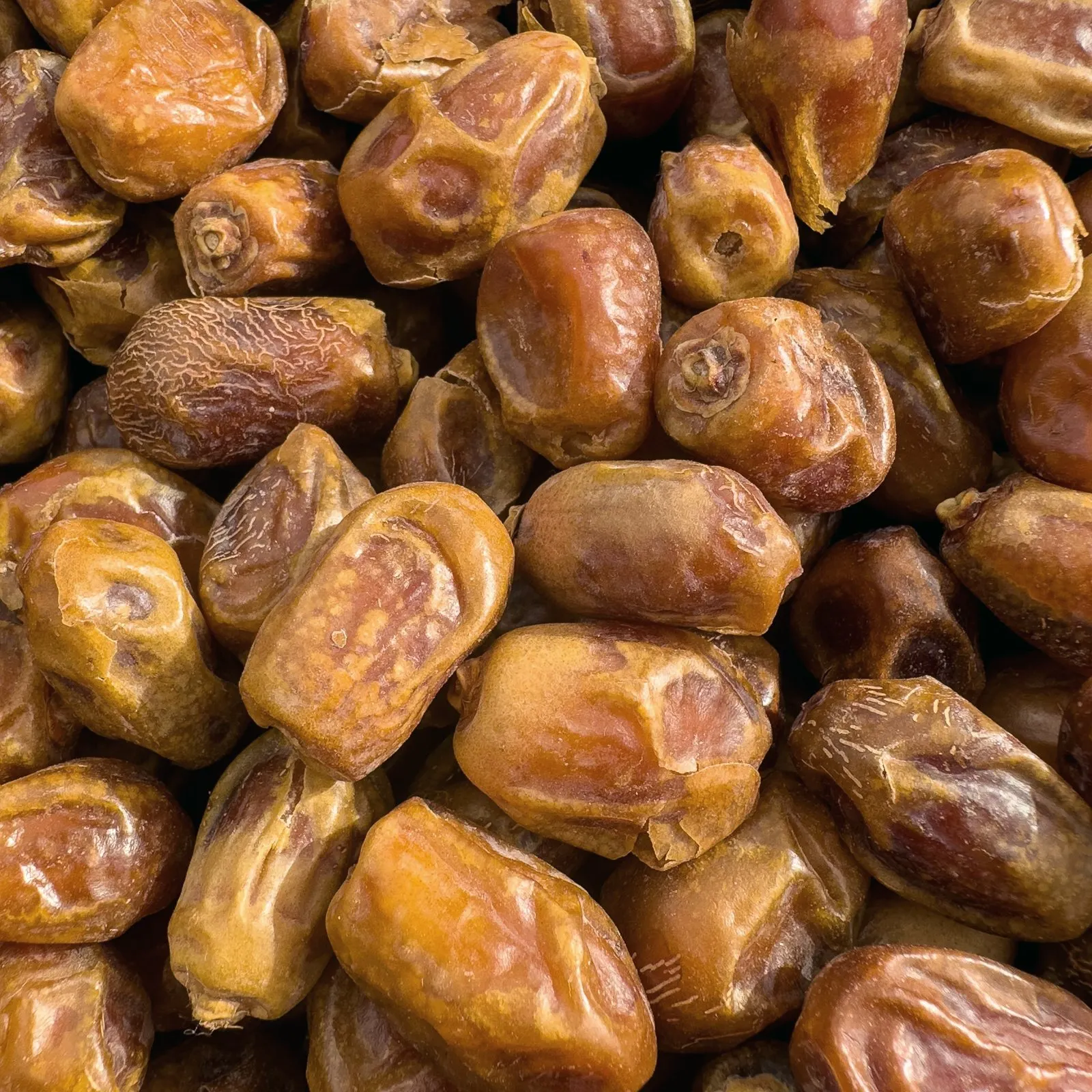 سكري القصيم الذهبي