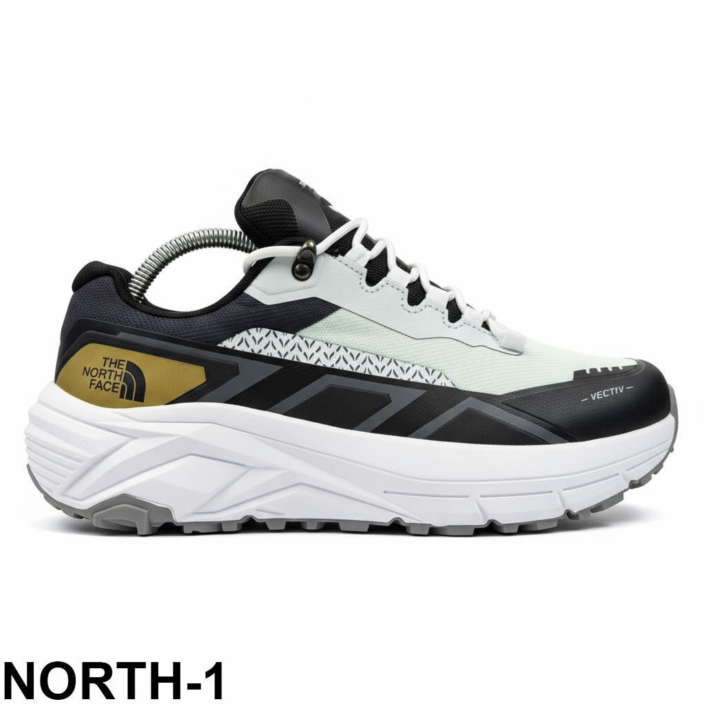 NORTH01