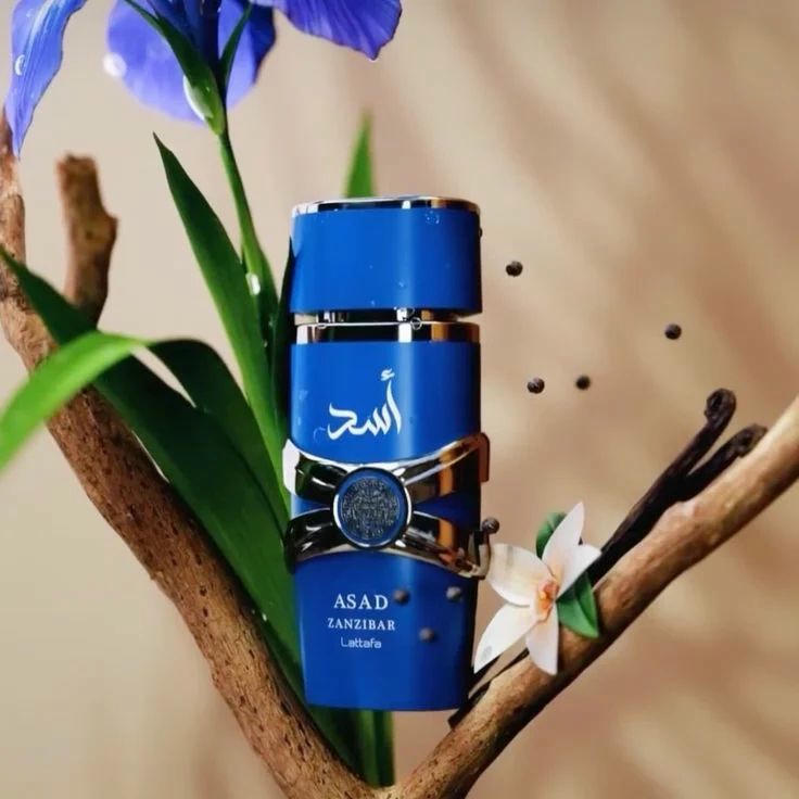  ZANIBAR  Misk Perfumes  without Box  اسد