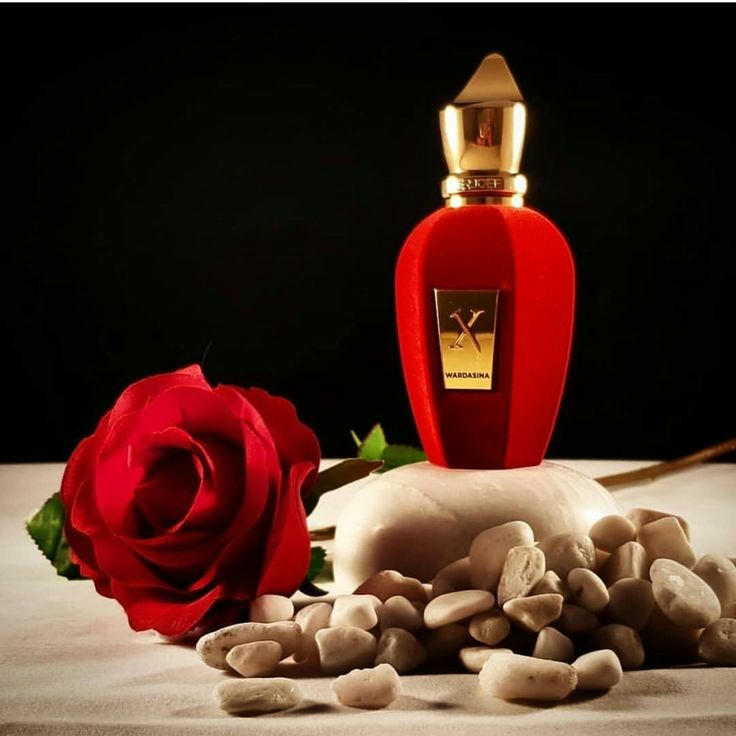 XERJOFF  Wardasina Misk Perfumes  without Box