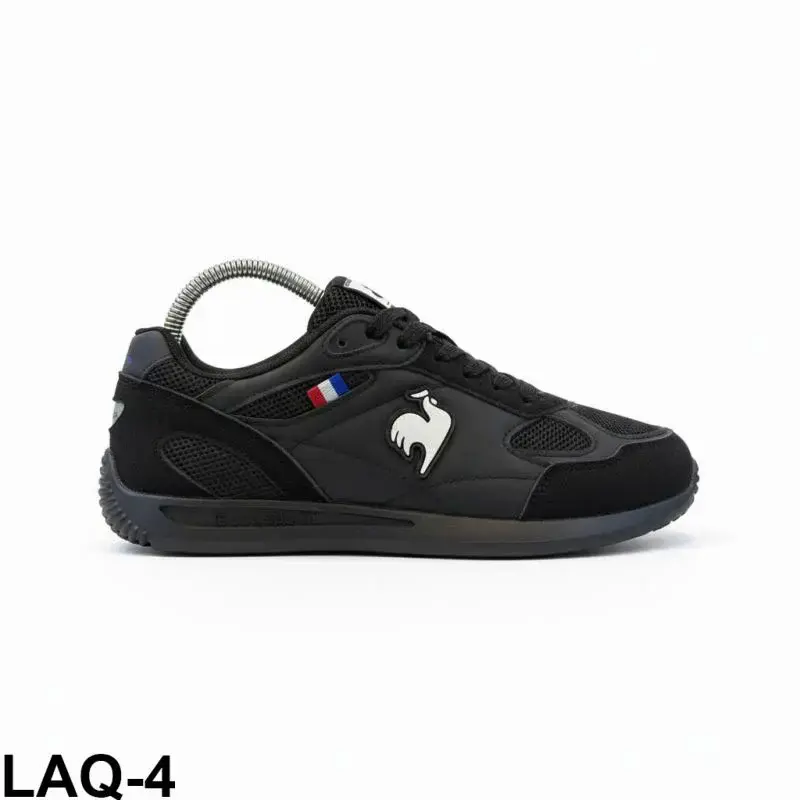 LAQ04