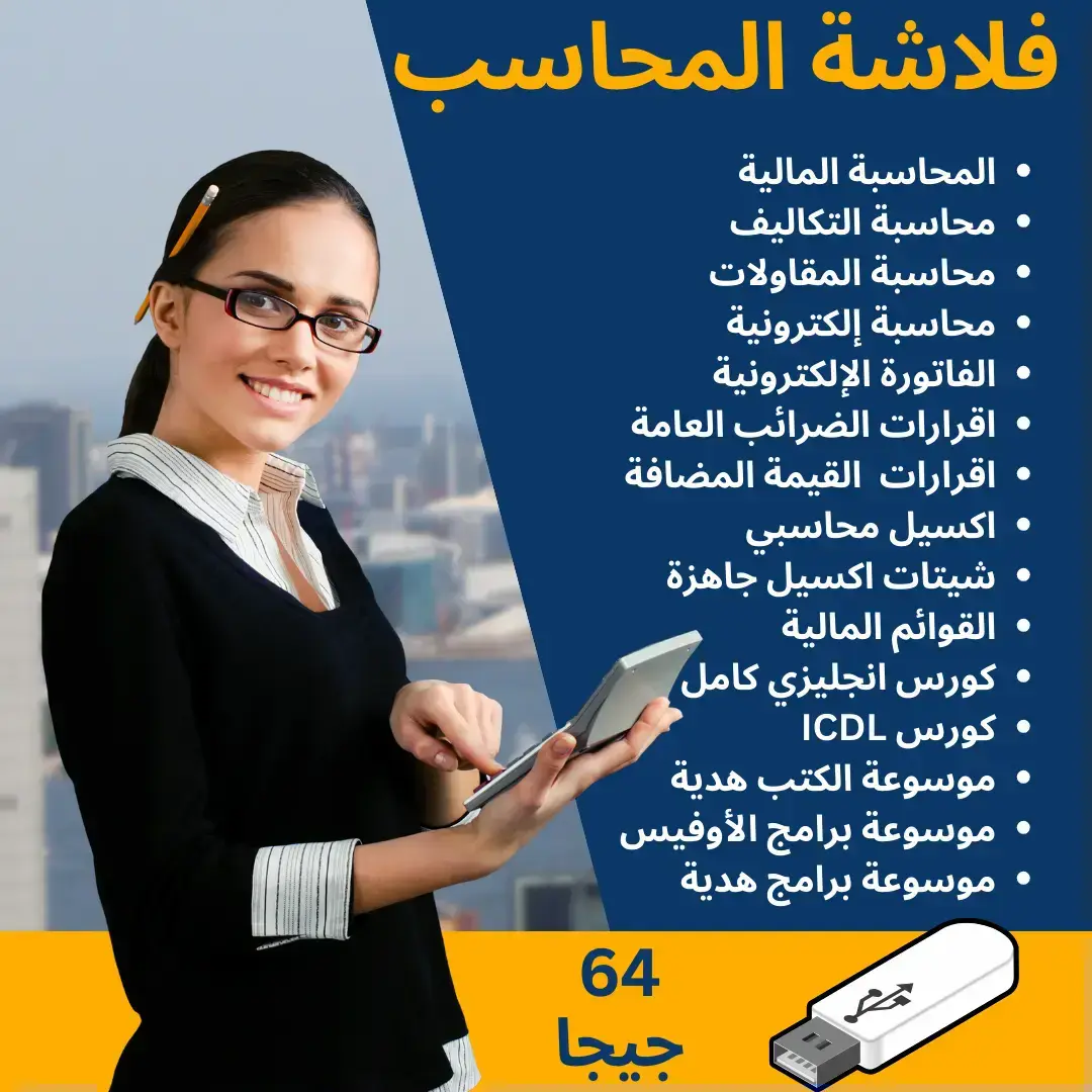 فلاشة المحاسب المحترف 64 جيجا