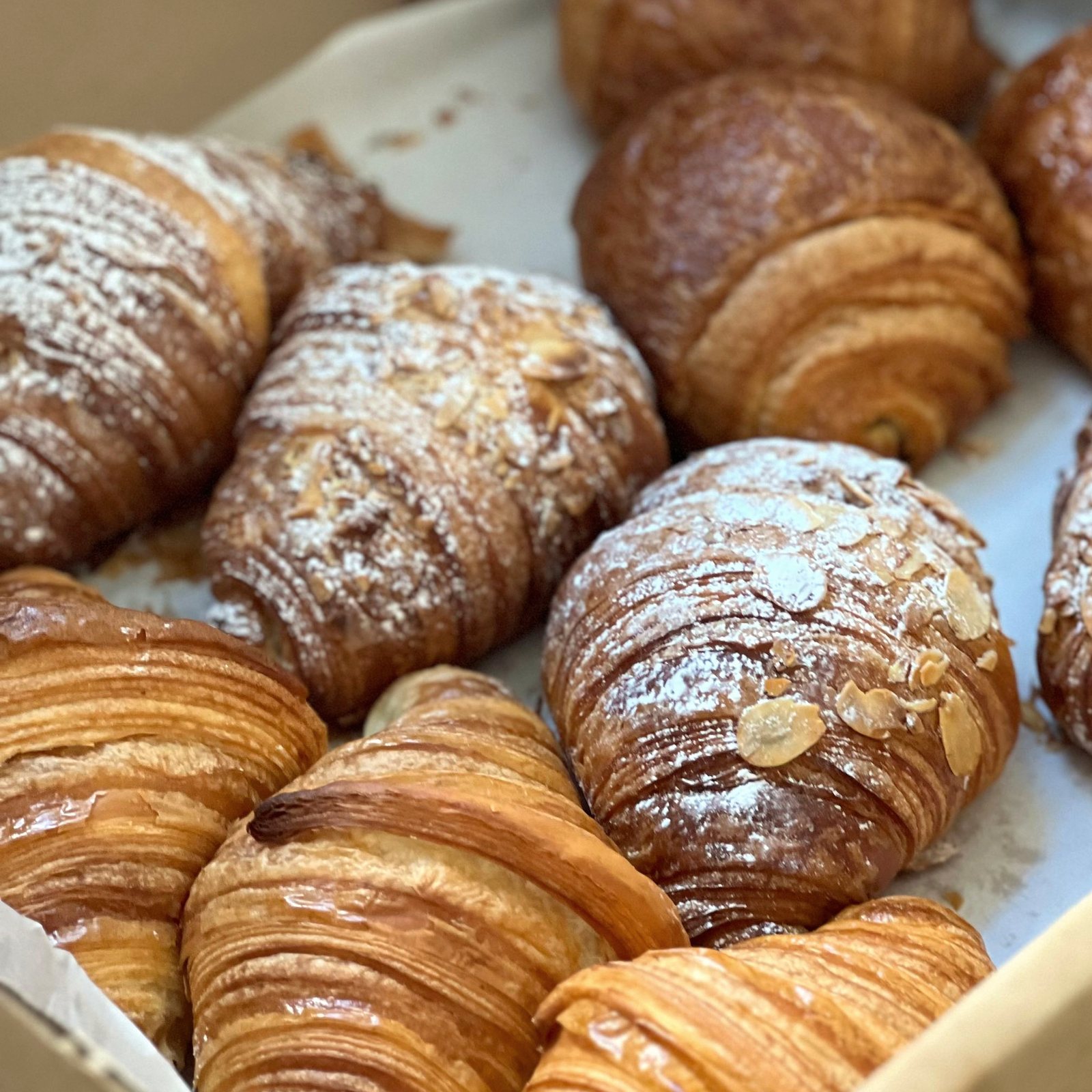 علبة معجنات مشكّلة