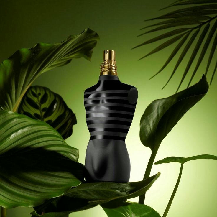 JENN PAUL Misk Perfumes  without Box 